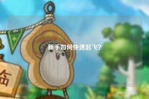 新手如何快速起飛？