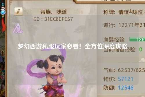 夢(mèng)幻西游私服玩家必看！全方位深度攻略