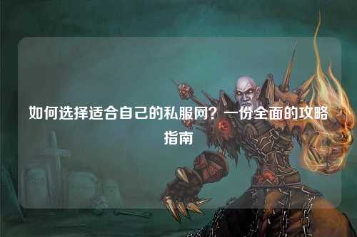 如何選擇適合自己的私服網(wǎng)？一份全面的攻略指南