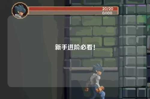新手進(jìn)階必看！