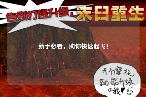 新手必看，助你快速起飛！