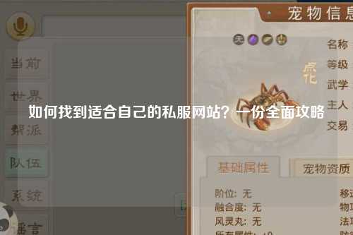 如何找到適合自己的私服網(wǎng)站？一份全面攻略