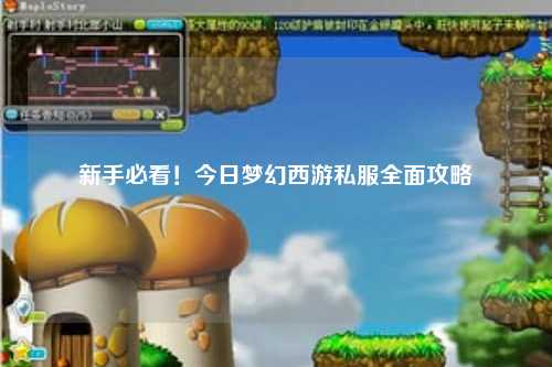 新手必看！今日夢(mèng)幻西游私服全面攻略