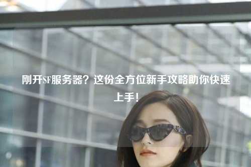 剛開SF服務(wù)器？這份全方位新手攻略助你快速上手！