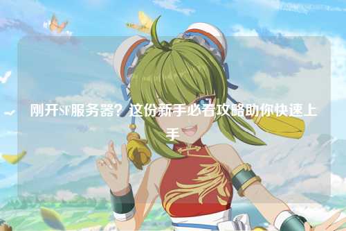 剛開SF服務(wù)器？這份新手必看攻略助你快速上手
