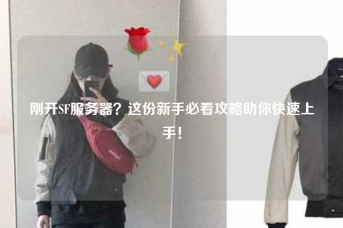 剛開(kāi)SF服務(wù)器？這份新手必看攻略助你快速上手！
