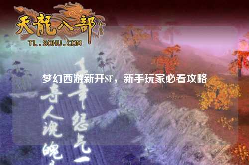 夢(mèng)幻西游新開SF，新手玩家必看攻略