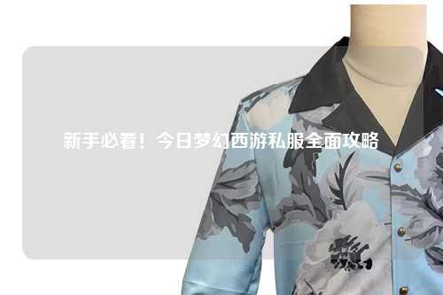 新手必看！今日夢幻西游私服全面攻略