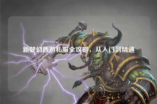 新夢(mèng)幻西游私服全攻略，從入門到精通