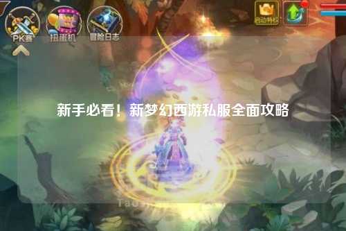 新手必看！新夢(mèng)幻西游私服全面攻略