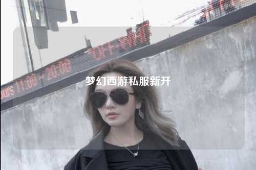 夢(mèng)幻西游私服新開